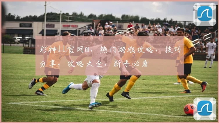 彩神ll官网m，热门游戏攻略，技巧分享，攻略大全，新手必看