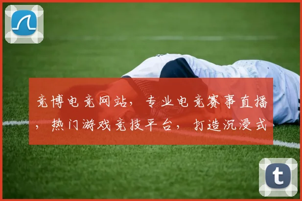 竞博电竞网站，专业电竞赛事直播，热门游戏竞技平台，打造沉浸式电竞体验，尽在竞博